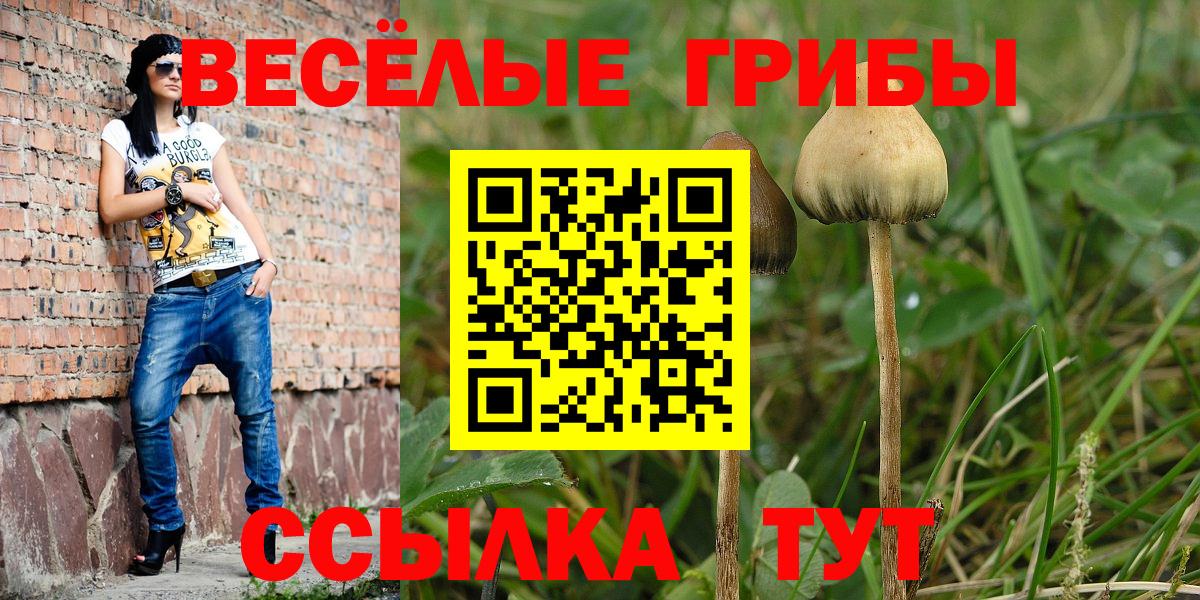 Нефтекамск  Псилоцибиновые грибы MAGIC MUSHROOMS  Галлюциногенные грибы GOLDEN TEACHER  Вход с VPN 
